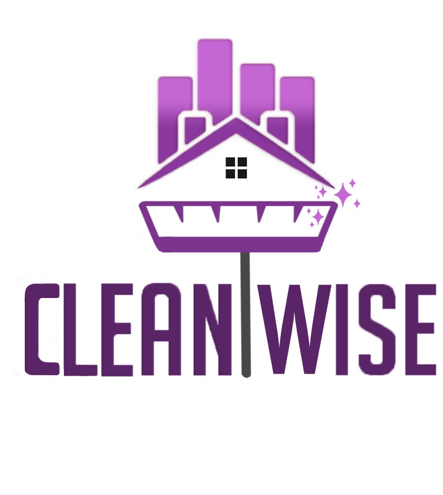 Clean Wise logo