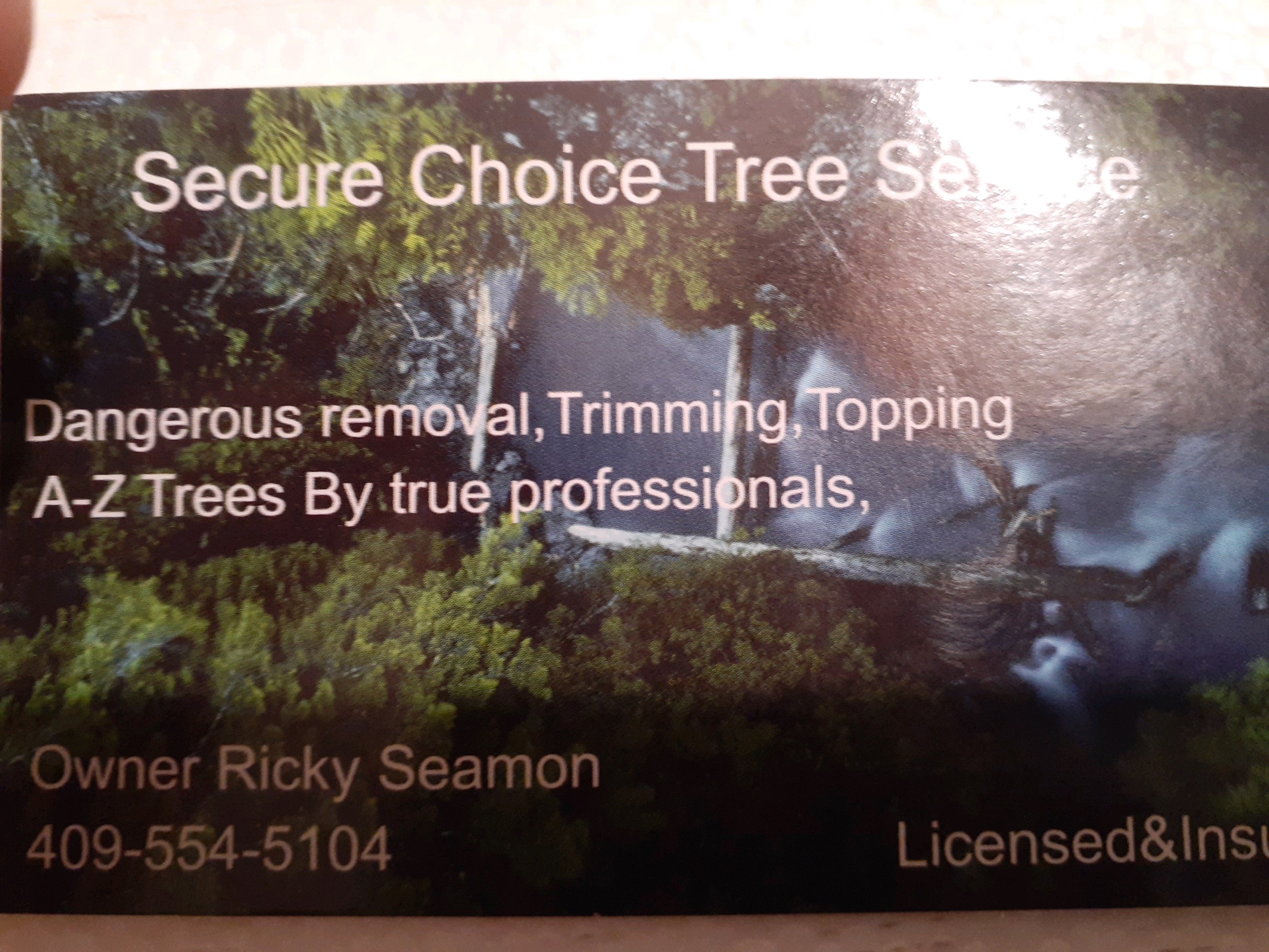 Avatar for Secure Choice Tree Service