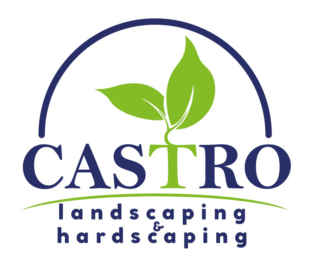 Logo for Castro