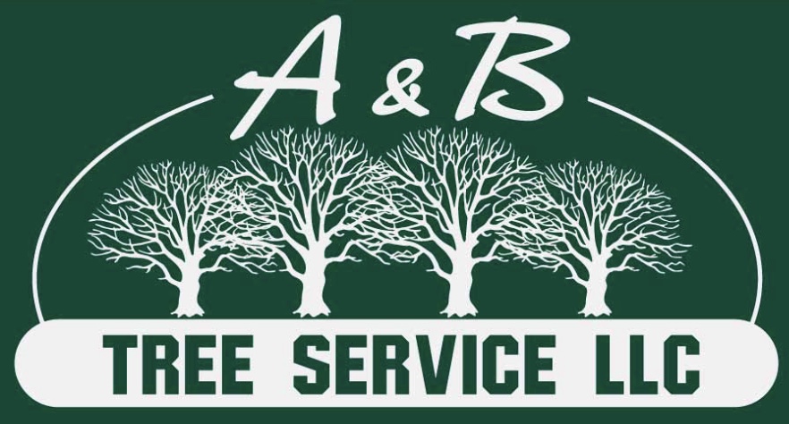 Avatar for A&B Tree Service