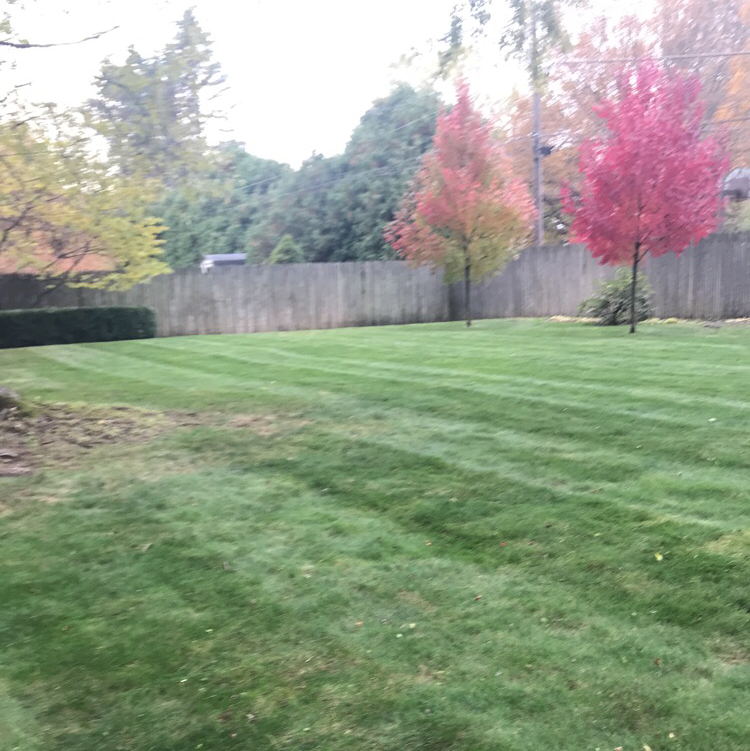 Ortiz Top Notch Lawn Care logo