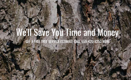 Imagine Tree Service, Inc. logo