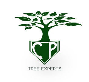 CP TREE EXPERTS logo