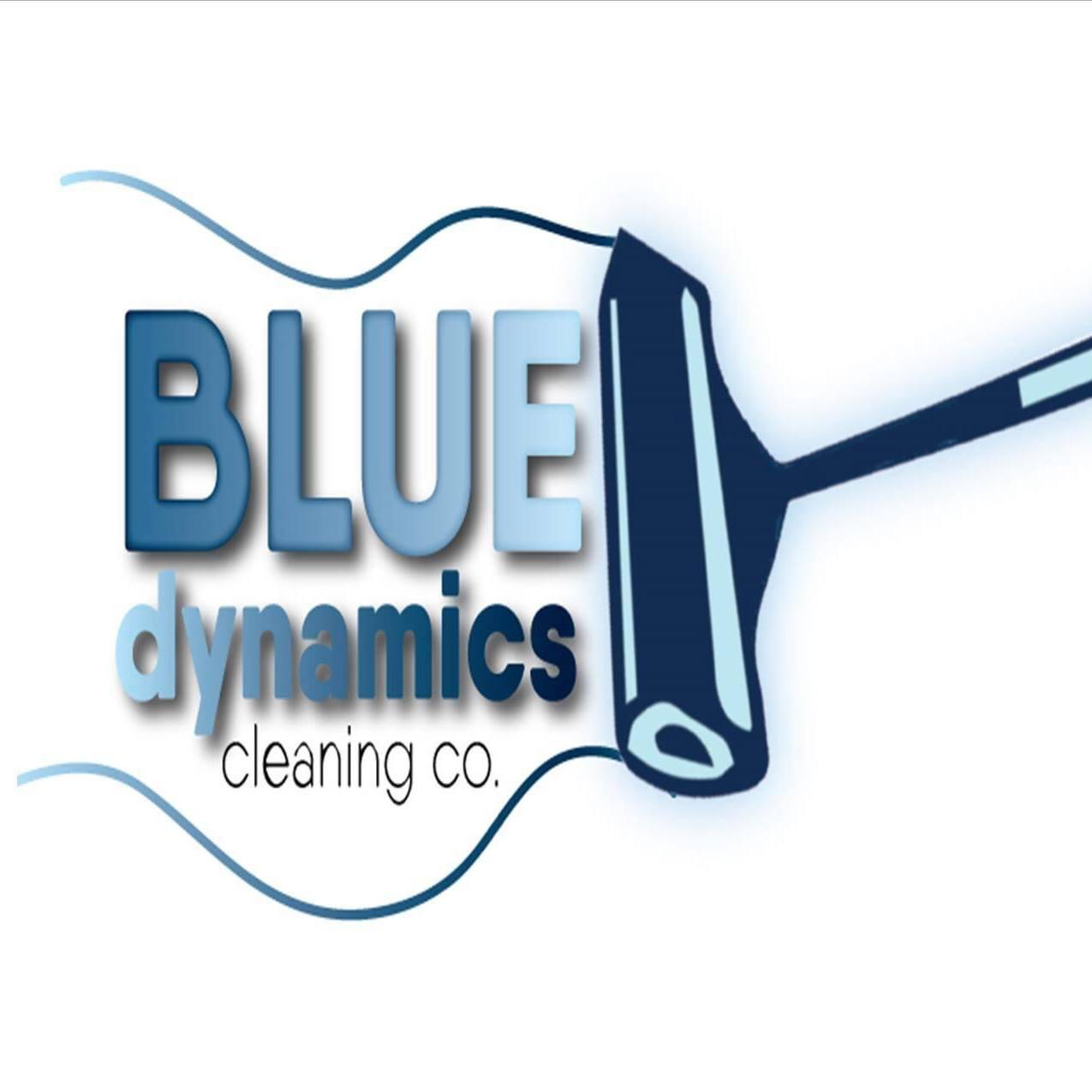Avatar for Blue Dynamles LLC,
