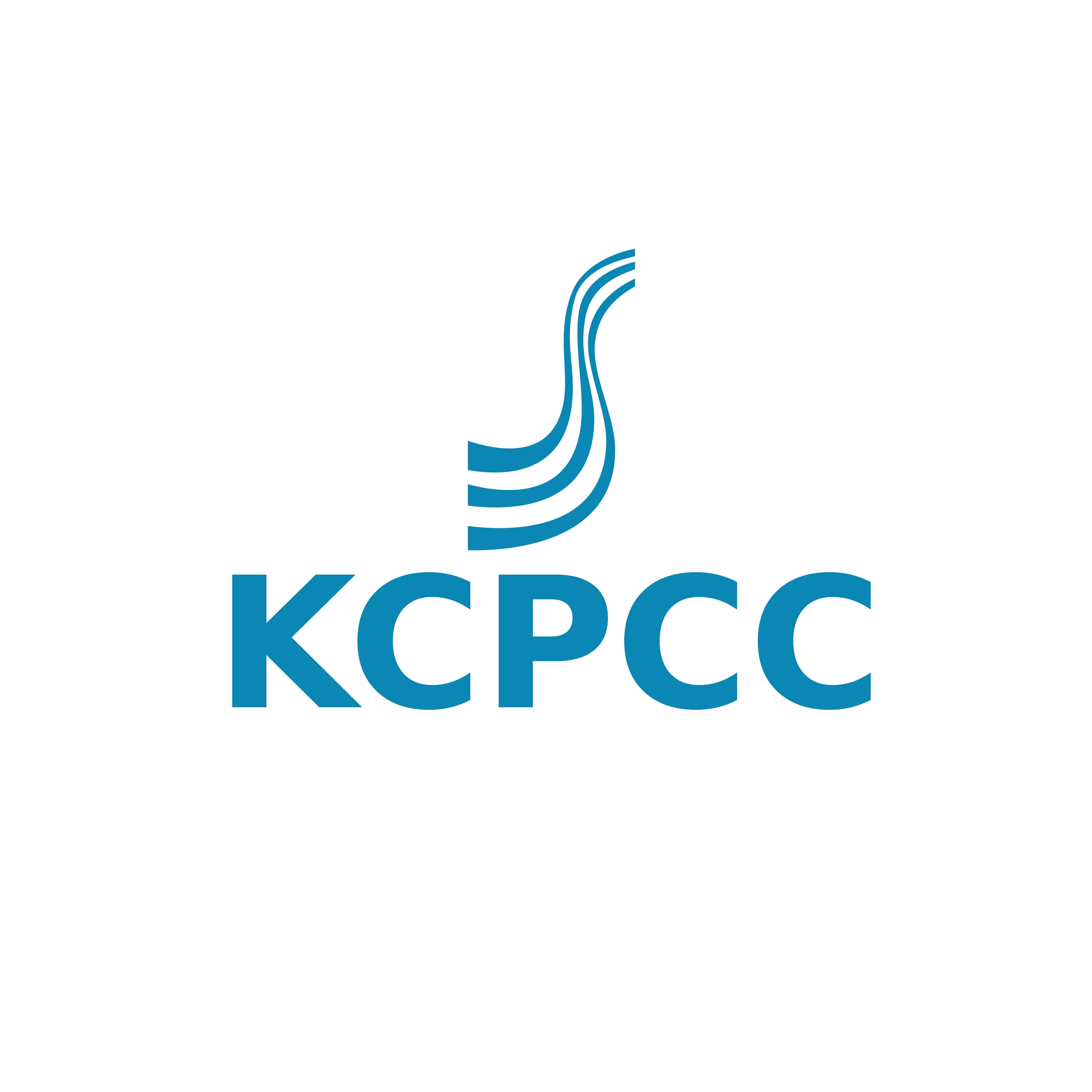 Kansas City Professional Cleaning LLC logo