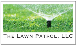 Avatar for Dynamic irrigation Group LlC