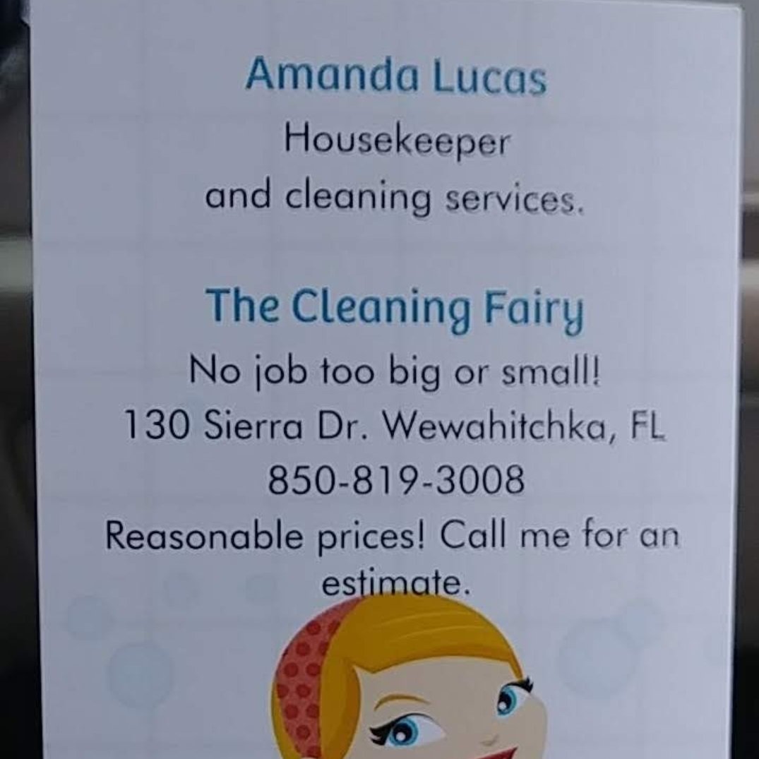 Avatar for The cleaning fairy