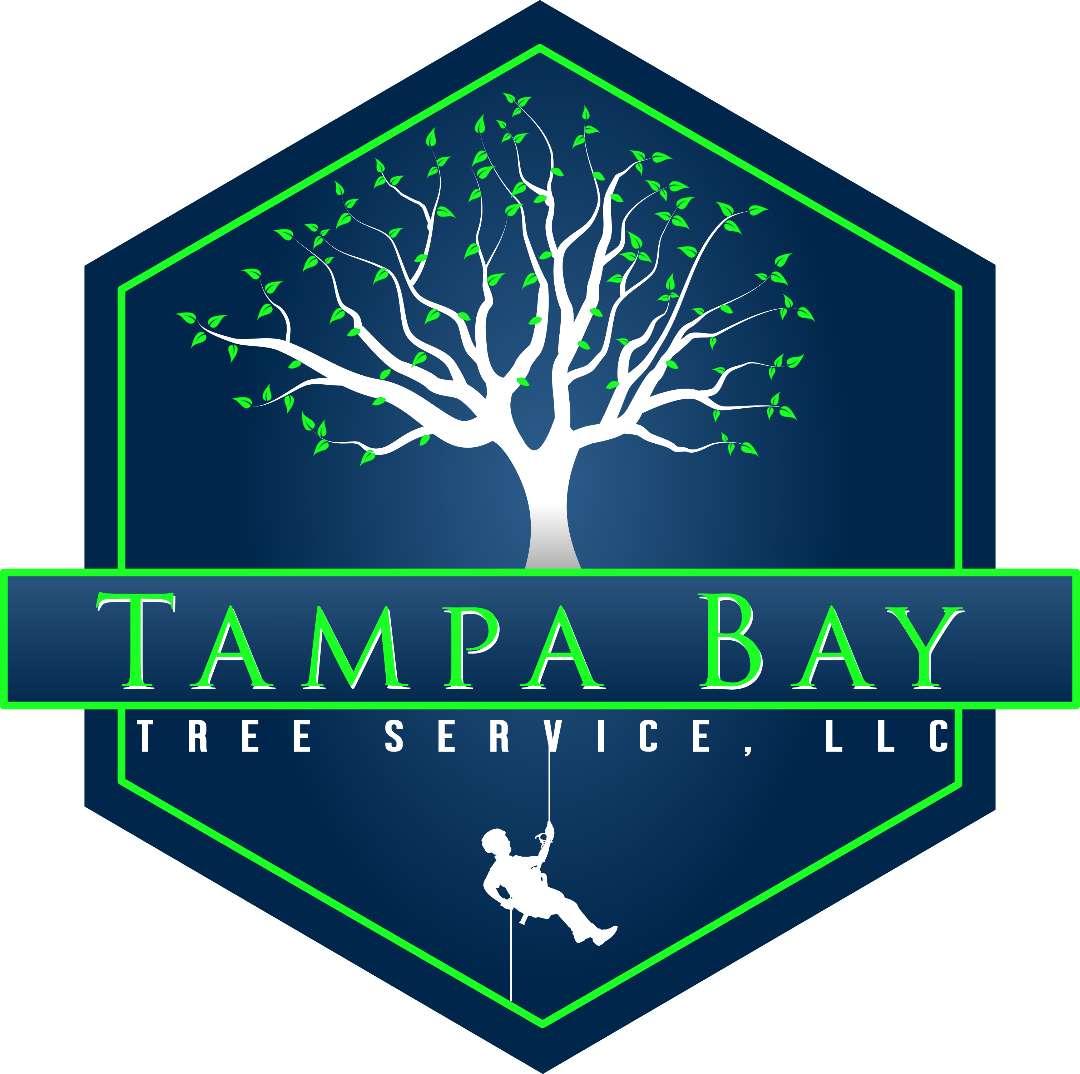Logo for Tampa Bay Tree Service