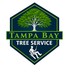 Avatar for TAMPA BAY TREE SERVICE