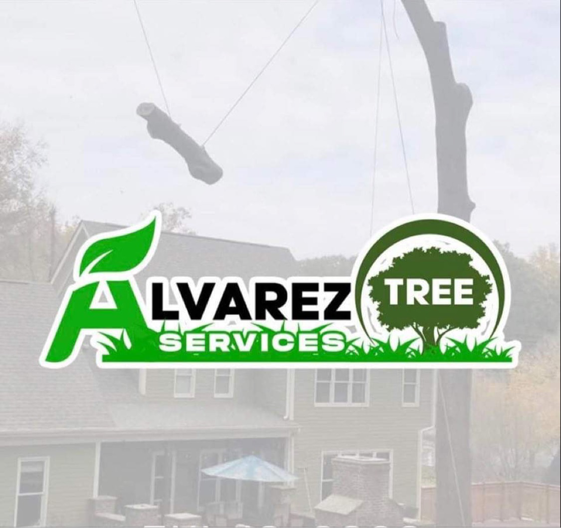 Avatar for Alvarez TREE services