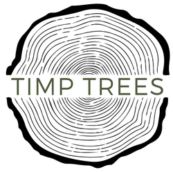 TIMP TREES logo