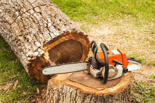 Avatar for Griffin's Tree Removal Services