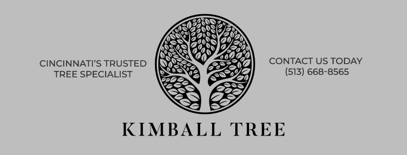 Logo for Kimballtreellc