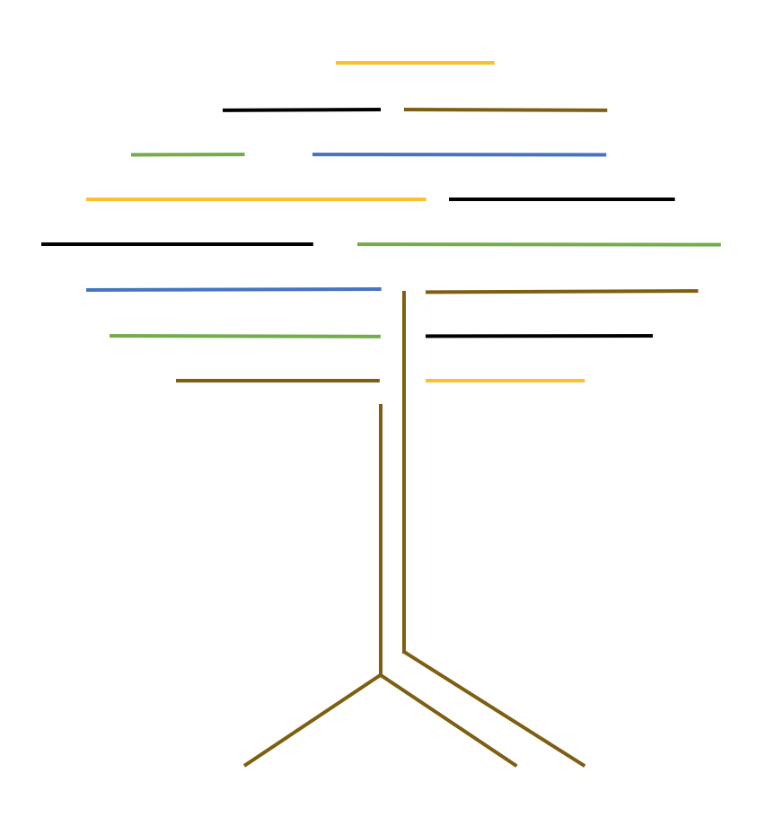 R Canopy LLC logo