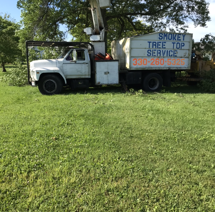 Avatar for Smokey Treetop Service