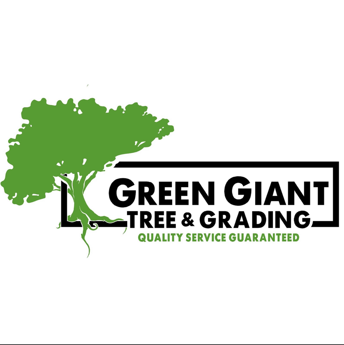 Avatar for Green Giant Tree & Grading