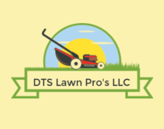 DTS Lawn Pro's LLC logo