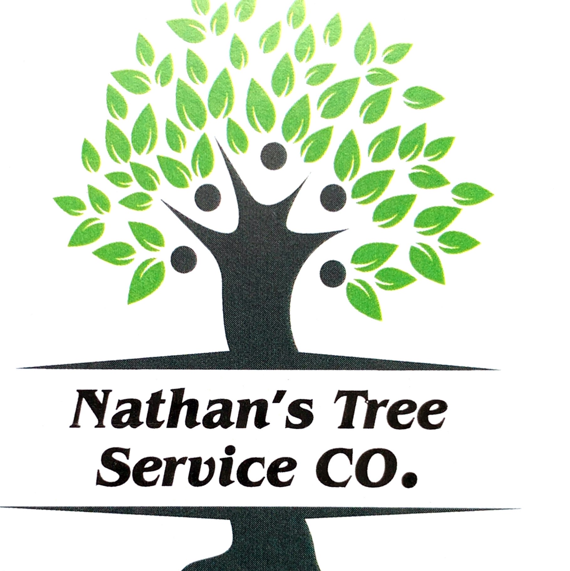 Avatar for Nathan's Tree Service