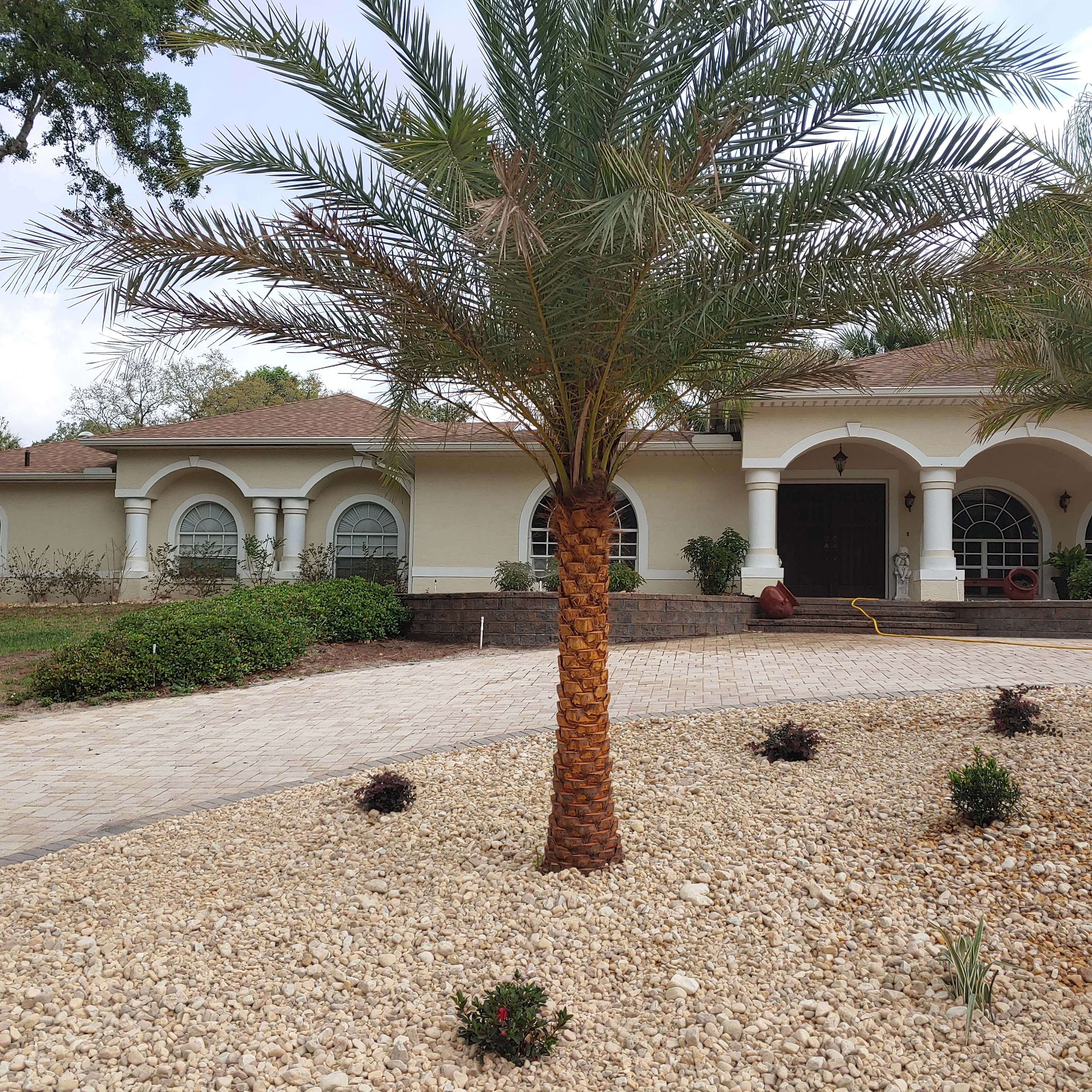 Touch Above The Rest Landscaping and Nursery LLC logo