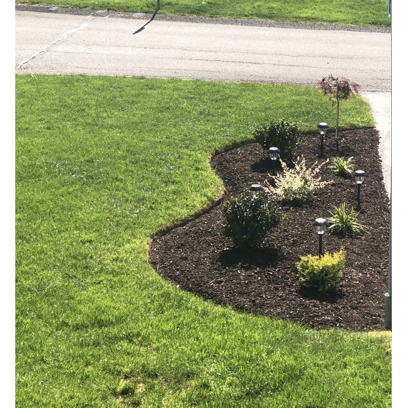 Avatar for C & C Landscaping