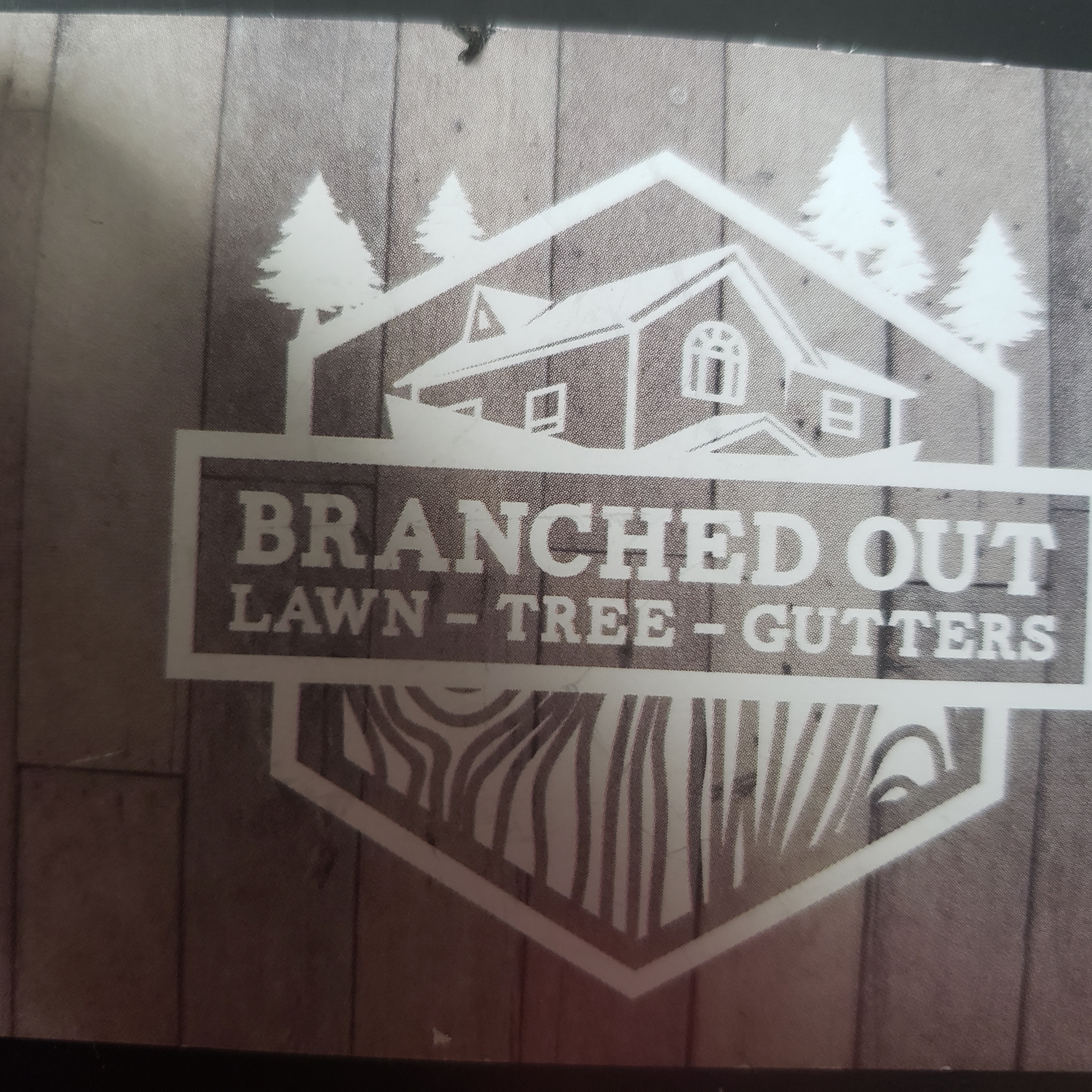 Logo for Branched Out Gutters