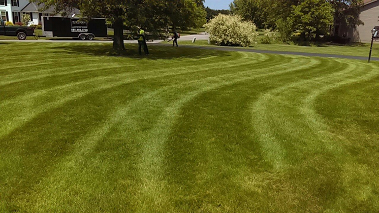 Logo for Just N Time Lawn & Car Services LLC