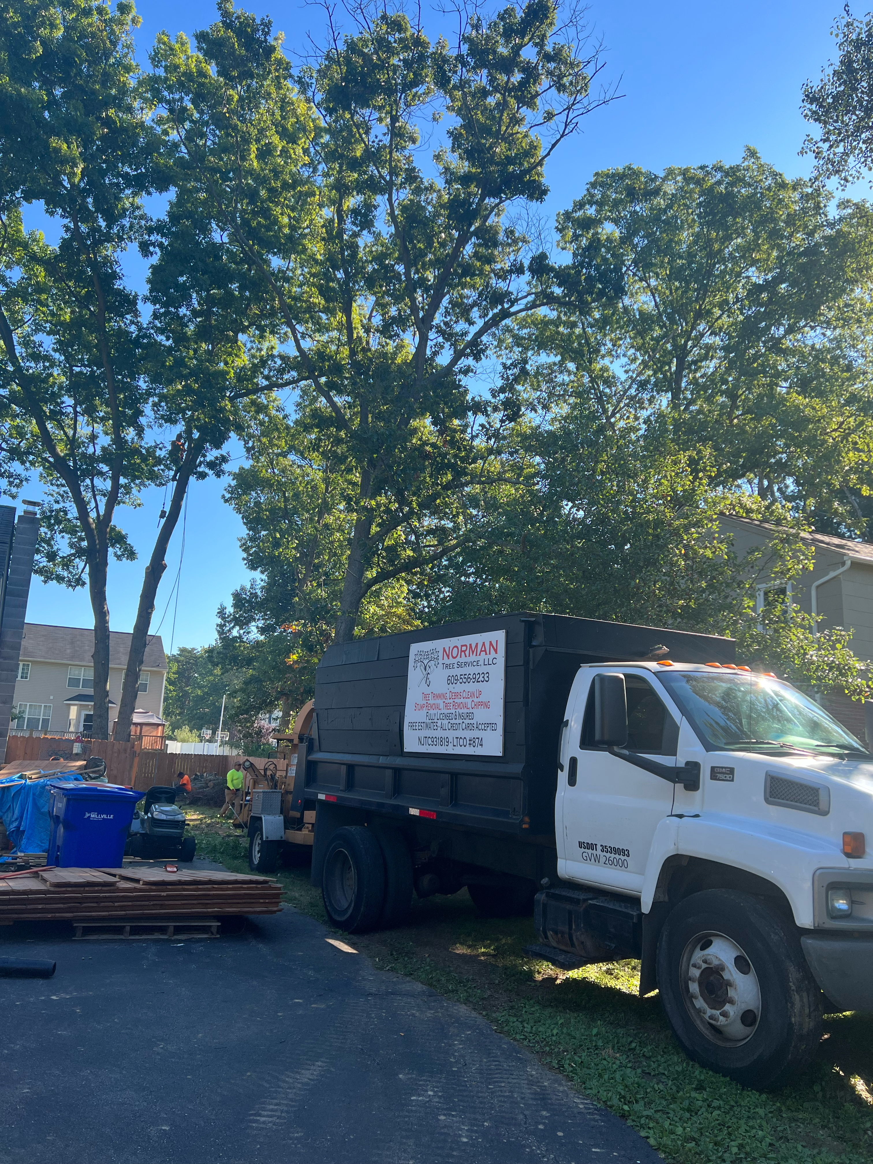 Norman Tree Service LLC logo