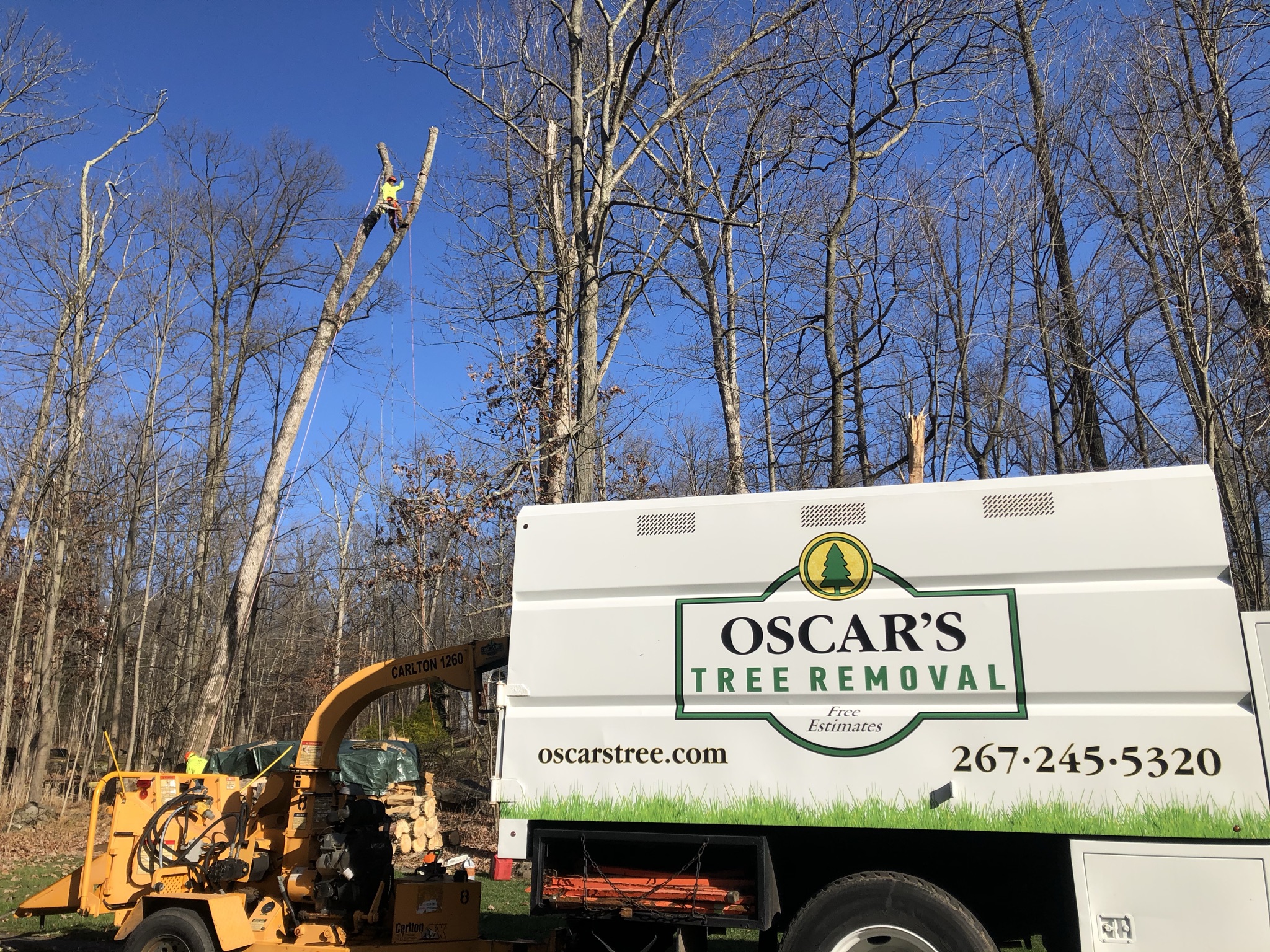 Logo for Oscar's Tree Removal & Patios