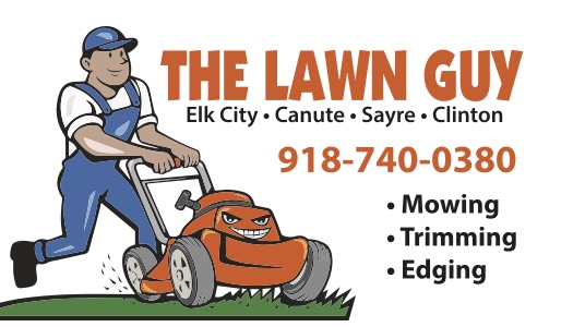 Logo for The Lawn Guy