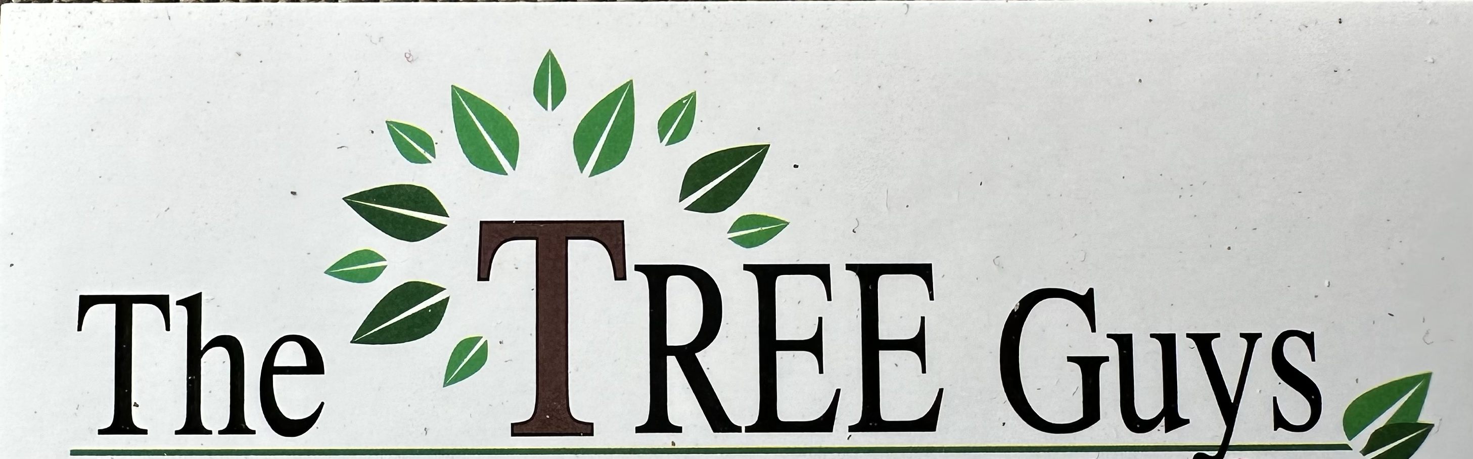 The Tree Guys logo
