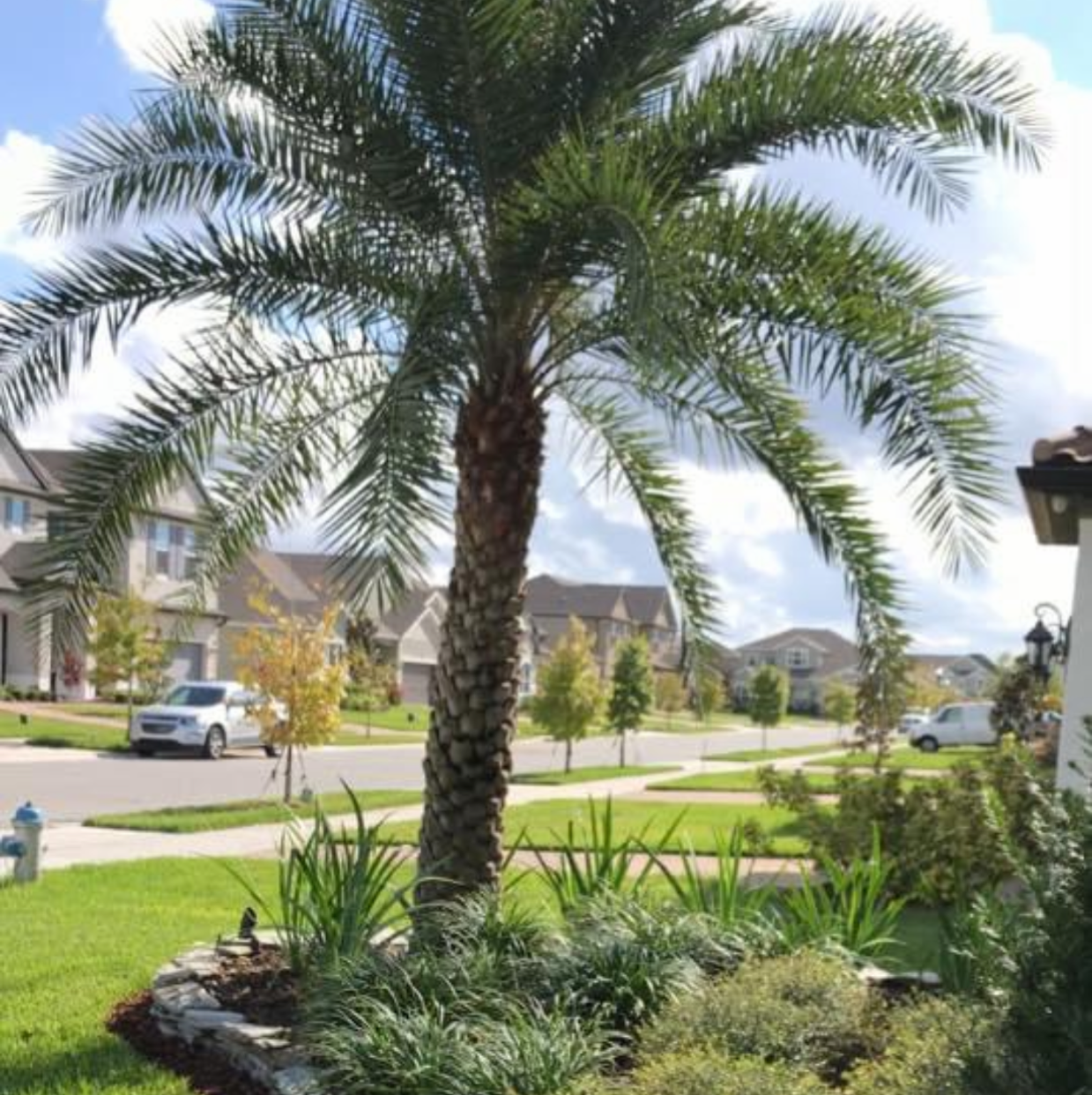 Avatar for Latrobe Landscaping