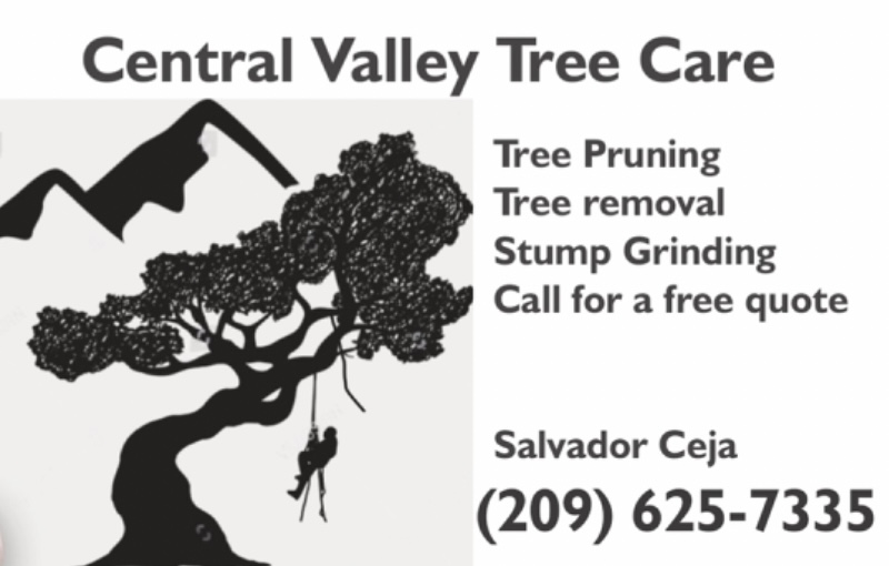 Avatar for Central Vally Tree Care