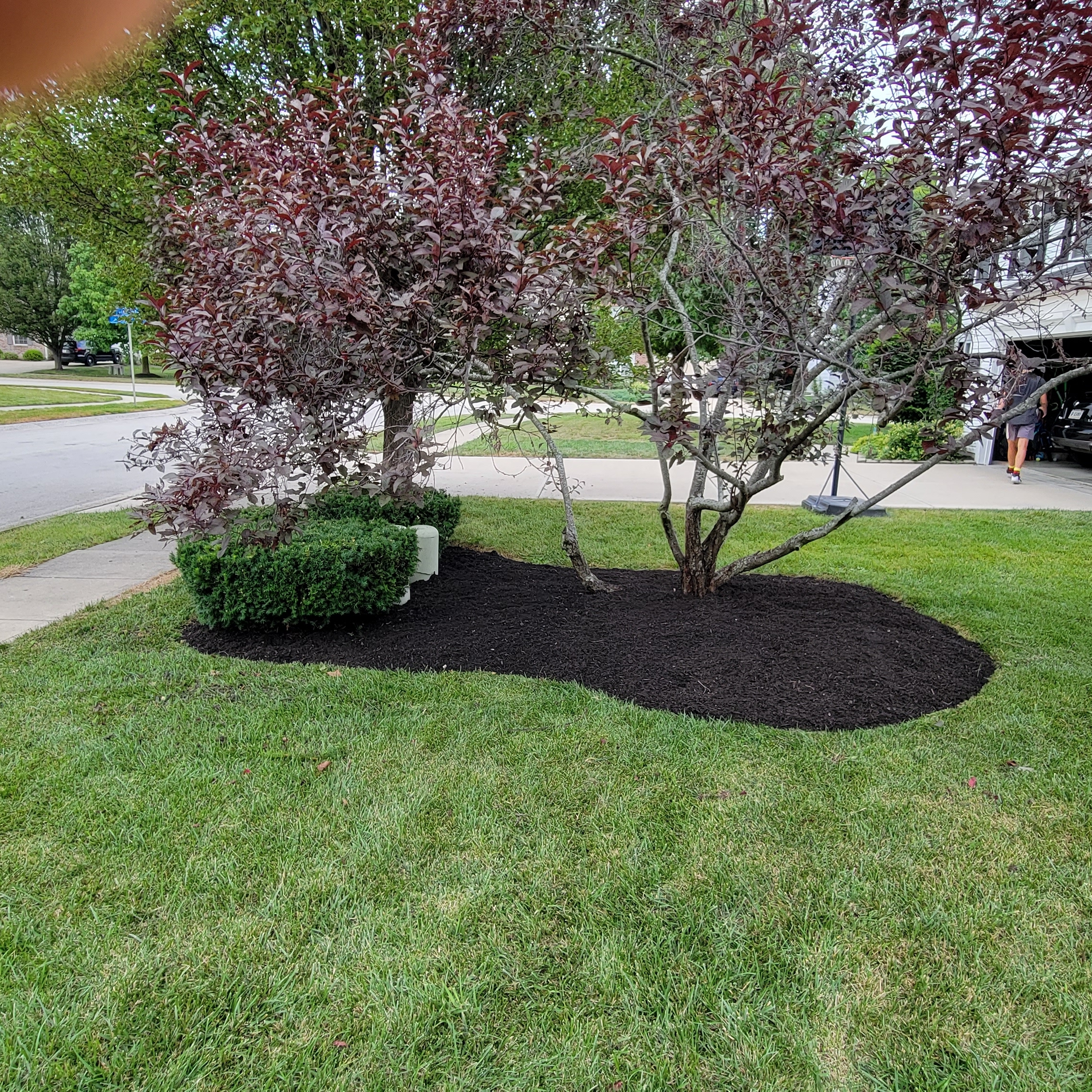Avatar for CPM Landscaping