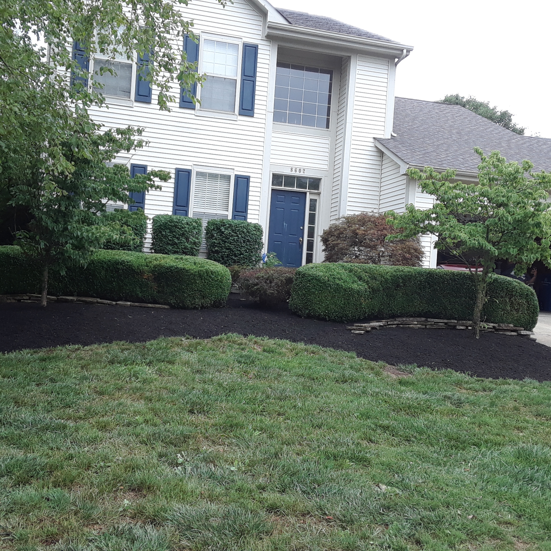Avatar for Tampa Landscaping