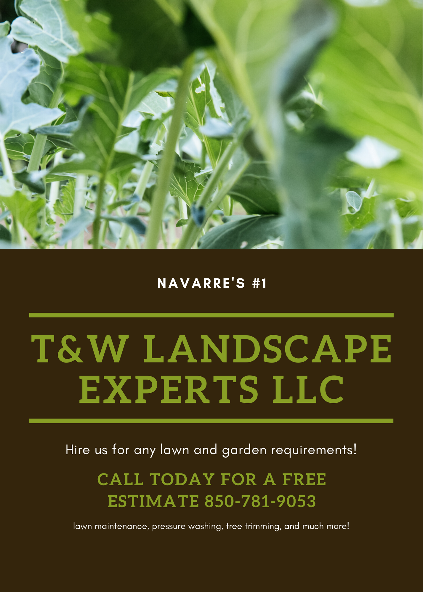 Avatar for T and W LANDSCAPE EXPERTS
