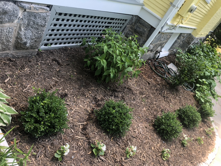 Avatar for Ideal Landscaping