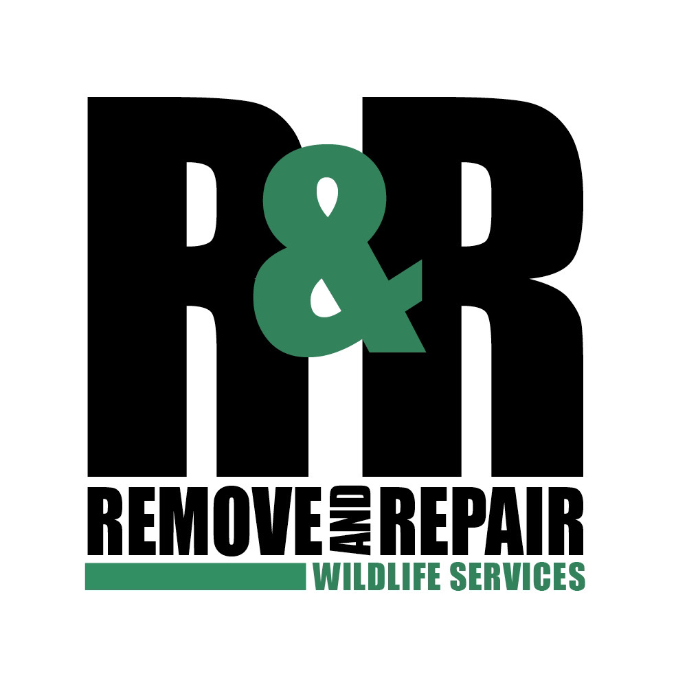 Remove & Repair Wildlife Services logo