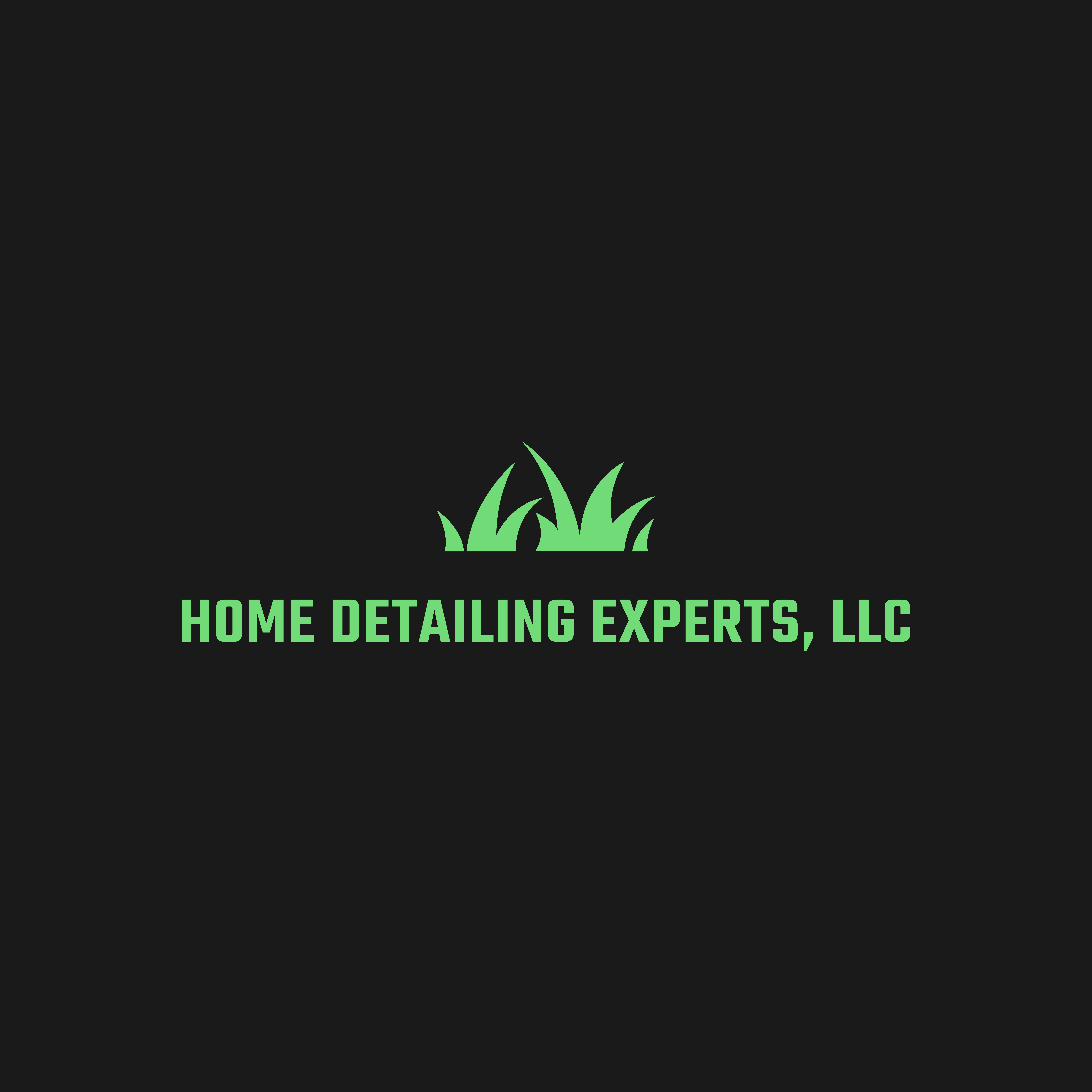 Home Detailing Experts, LLC logo