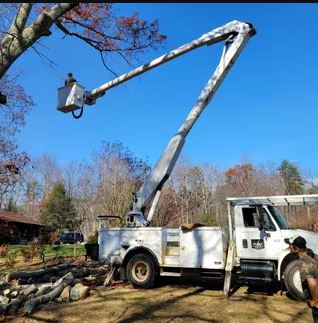 Avatar for E & J Tree Service