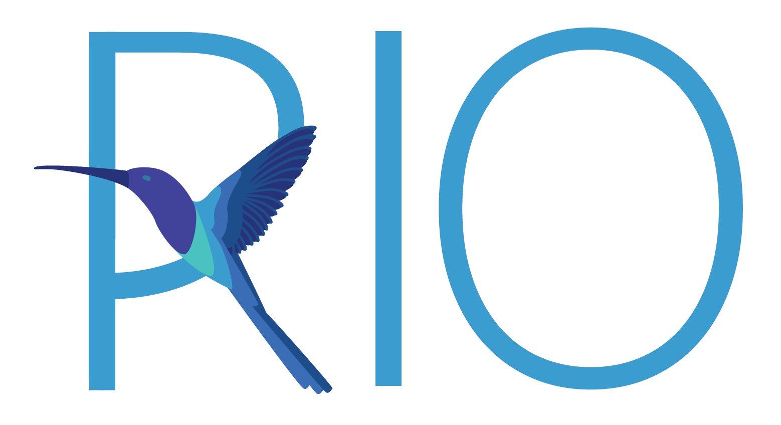 Rio Team Inc logo