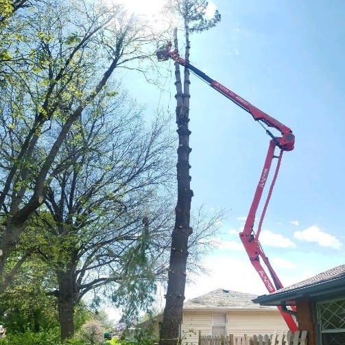 Klug's Tree Service logo