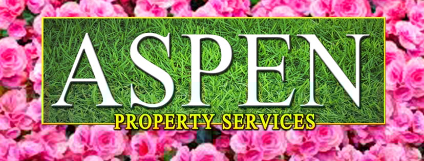 Aspen Property Services logo