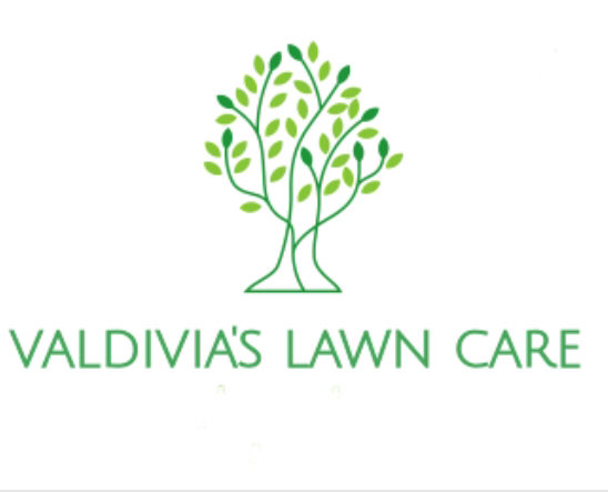Avatar for Valdivias lawn care