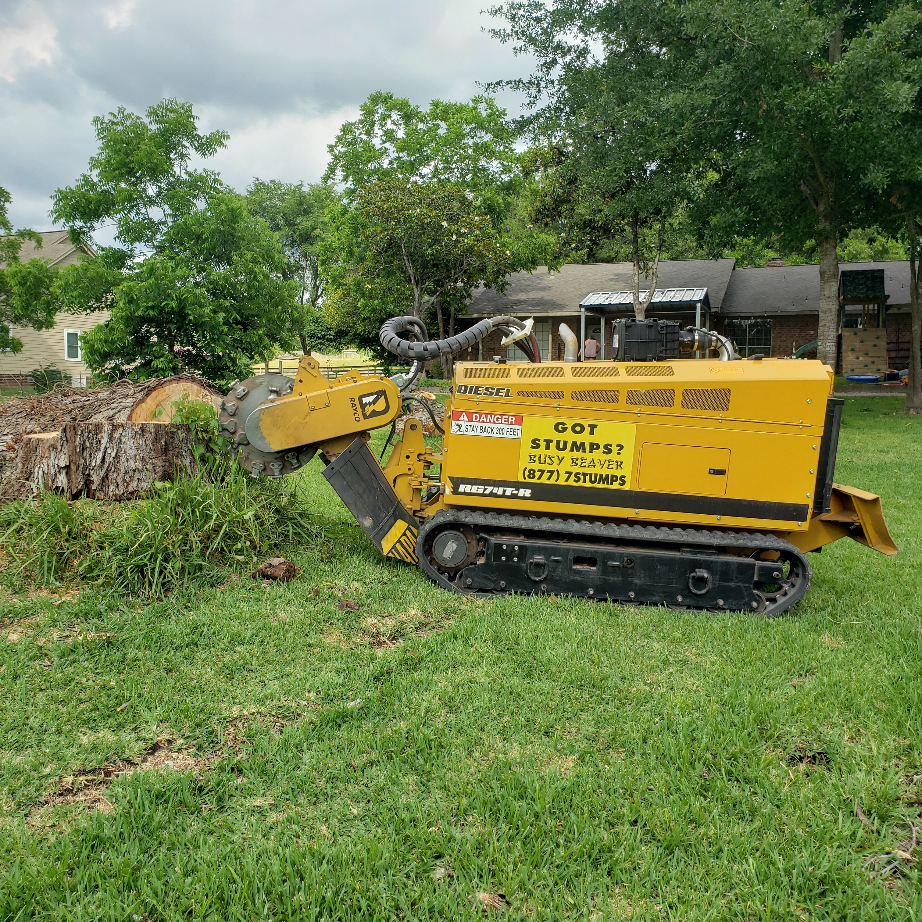 Logo for Busy Beaver Stump Grinding