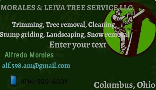 Avatar for Morales & Leiva Tree Service LLC