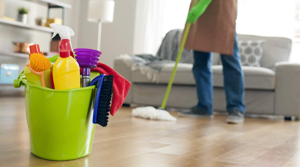 Eleuza Cleaning services logo
