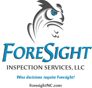 Logo for Foresight Inspection Services