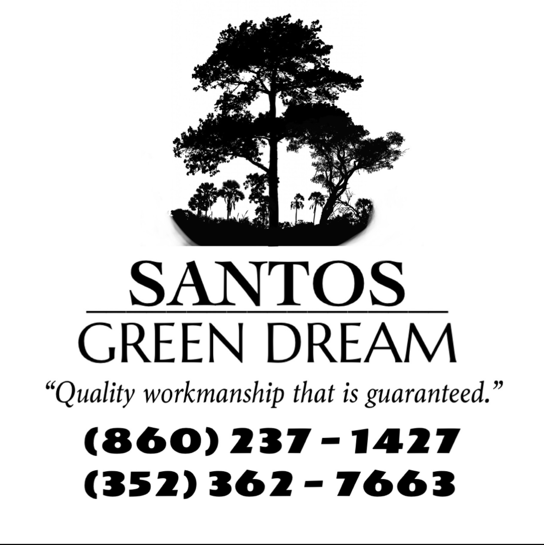 Avatar for Santos green dream
