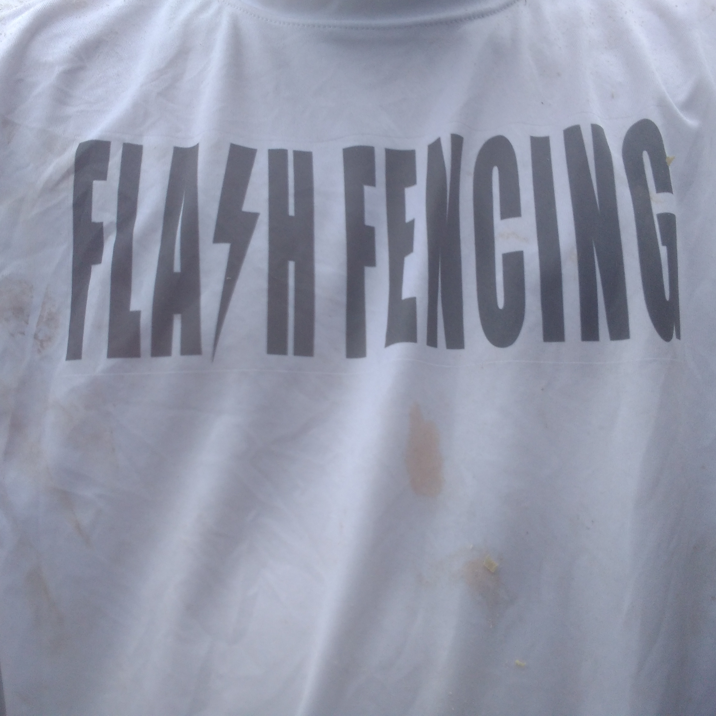 Logo for Flash Fencing