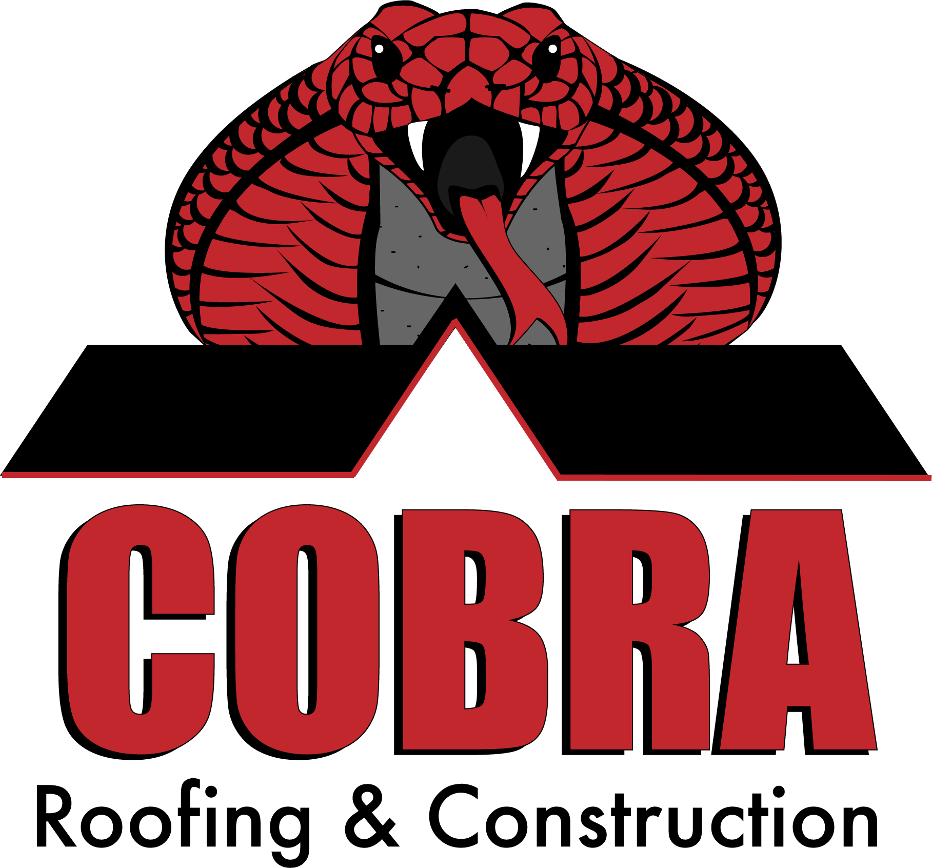 Logo for Cobra Roofing And Construction